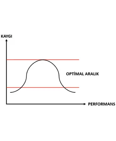 Sınav Kaygısı